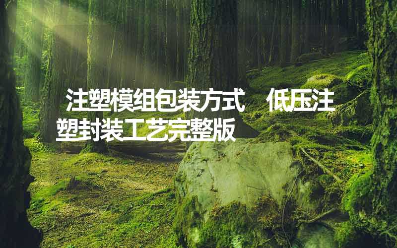 注塑模组包装方式 低压注塑封装工艺完整版